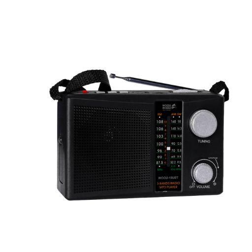 RADIO MULTIBANDA WOOU-18UBT