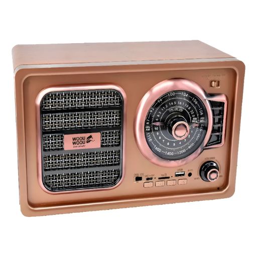 RADIO MULTIBANDA WOOU-RA2314